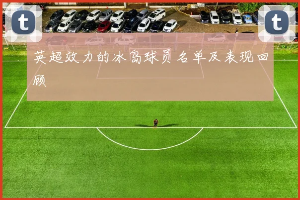 英超效力的冰岛球员名单及表现回顾